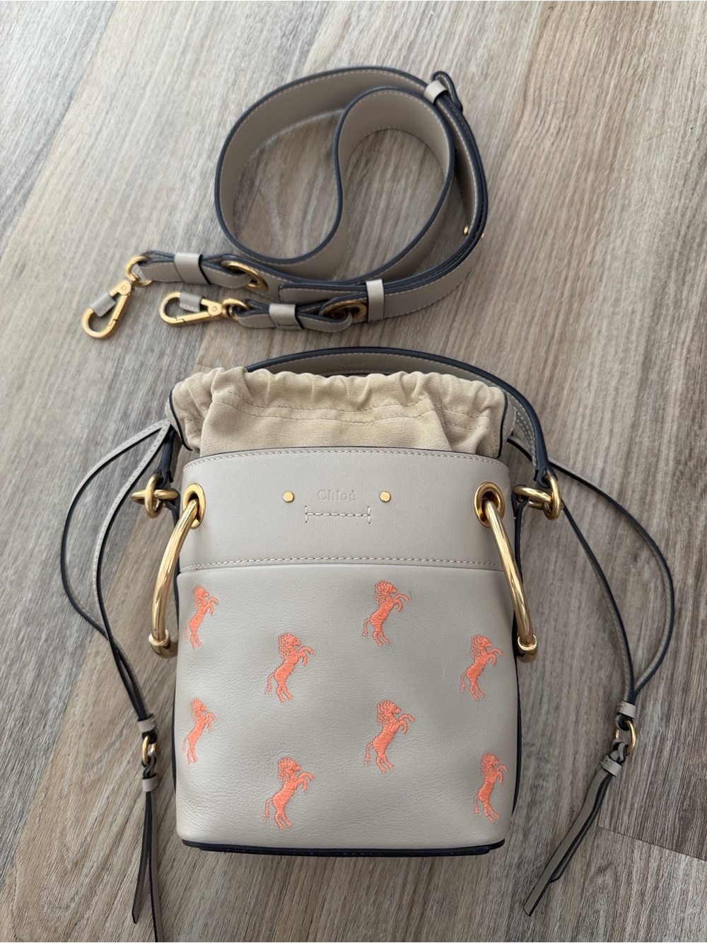 Chloe Small Beige Leather Bucket Bag with Coral Embroidery